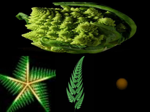 Nautilus, DNA, and snowflakes | PPTX