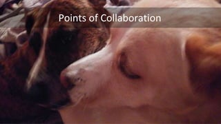 @navahf #BrightonSeo
Points of Collaboration
 