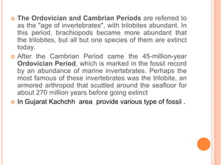  The Ordovician and Cambrian Periods are referred to
as the "age of invertebrates", with trilobites abundant. In
this period, brachiopods became more abundant that
the trilobites, but all but one species of them are extinct
today.
 After the Cambrian Period came the 45-million-year
Ordovician Period, which is marked in the fossil record
by an abundance of marine invertebrates. Perhaps the
most famous of these invertebrates was the trilobite, an
armored arthropod that scuttled around the seafloor for
about 270 million years before going extinct
 In Gujarat Kachchh area provide various type of fossil .
 