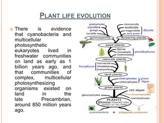 PLANT LIFE EVOLUTION
 There is evidence
that cyanobacteria and
multicellular
photosynthetic
eukaryotes lived in
freshwater communities
on land as early as 1
billion years ago, and
that communities of
complex, multicellular
photosynthesizing
organisms existed on
land in the
late Precambrian,
around 850 million years
ago.
 