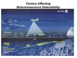 Factors Affecting
Bioluminescence Detectability




                        Signature Intensity
                          • Platform Speed
                          • Platform Depth
                          • Bioluminescence Potential
                          • Water Clarity
 