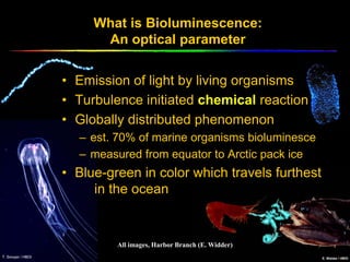 What is Bioluminescence:
      An optical parameter


• Emission of light by living organisms
• Turbulence initiated chemical reaction
• Globally distributed phenomenon
  – est. 70% of marine organisms bioluminesce
  – measured from equator to Arctic pack ice
• Blue-green in color which travels furthest
     in the ocean


         All images, Harbor Branch (E. Widder)
 