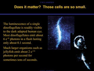 UNCLASSIFIED

         Does it matter? Those cells are so small.



The luminescence of a single
dinoflagellate is readily visible
to the dark adapted human eye.
Most dinoflagellates emit about
6 e+8 photons in a flash lasting
only about 0.1 second.
Much larger organisms such as
jellyfish emit about 2 e+11
photons per second for
sometimes tens of seconds.
 