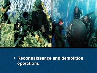 • Reconnaissance and demolition
  operations
 