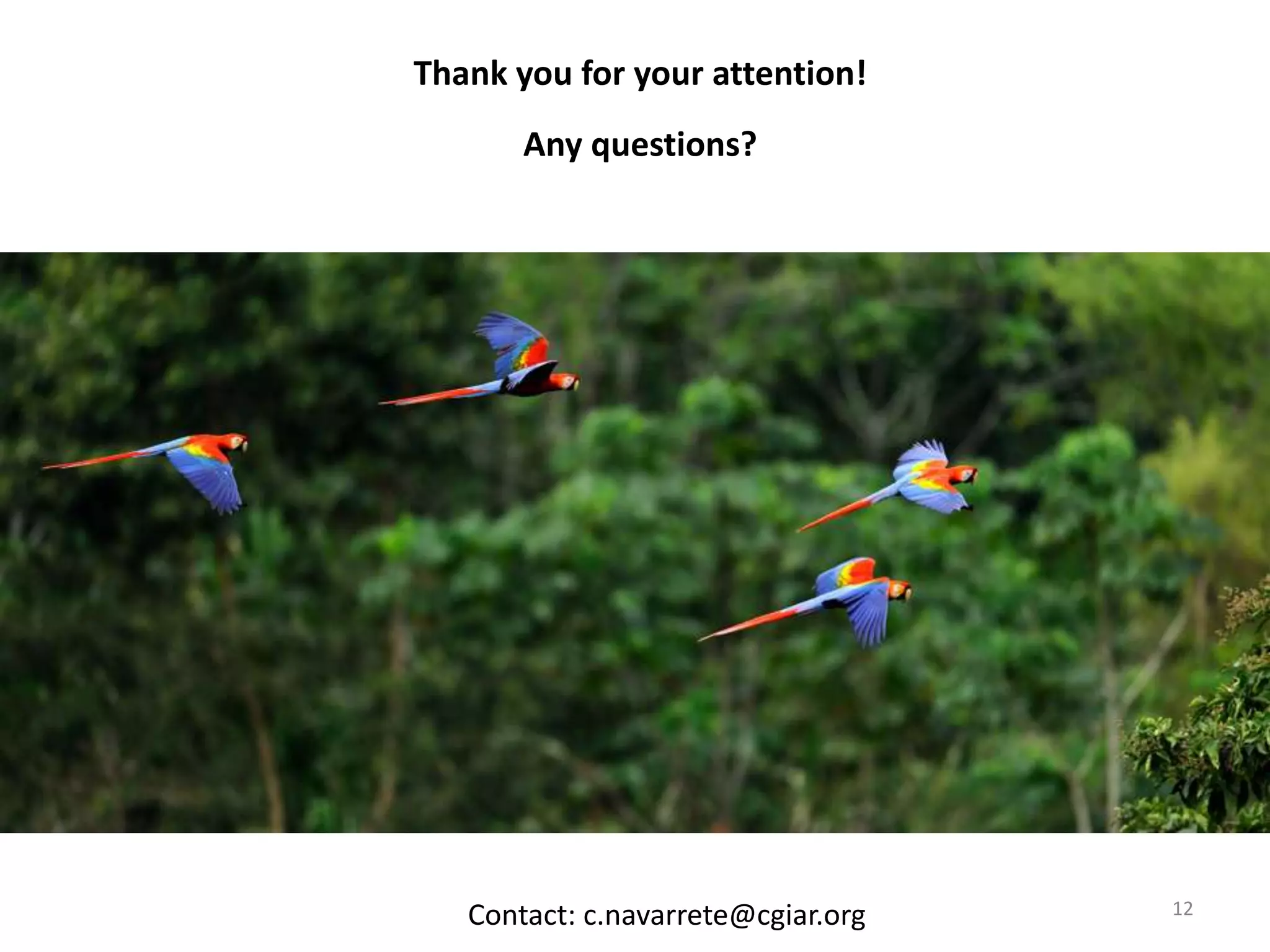 Thank you for your attention!
Any questions?
Any Questions?
12Contact: c.navarrete@cgiar.org
 