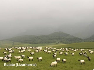 Eulate (Lizarherria)
 