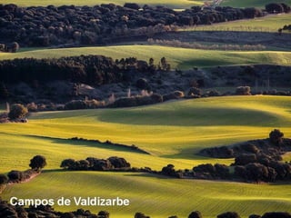 Campos de Valdizarbe
 