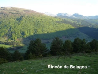 Beraiz
Rincón de Belagoa
 