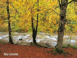 Río Urrobi
 