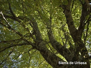 Sierra de Urbasa
 
