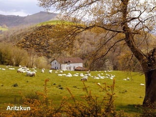 Aritzkun
 