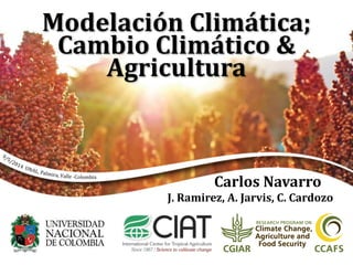 Modelación Climática;
Cambio Climático &
Agricultura
Carlos Navarro
J. Ramirez, A. Jarvis, C. Cardozo
 
