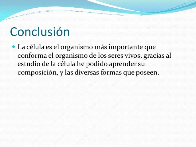 Conclusion De Las Celulas En General
