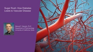 Manuel F. Navedo, Ph.D
Department of Pharmacology
University of California, Davis
Sugar Rush: How Diabetes
Leads to Vascular Disease
 
