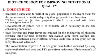 Golden Rice Bioengineering PLANT BIOTECHNOLOGY | PPTX