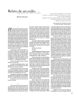 RelatoRelato de un exilio
       de un exilio                                                                               En la provincia de Zhejiang, al este de China,
                                                                                se encontró a un hombre enclaustrado, desde hacía varios años,
                                                                                                                  en una vivienda abandonada,
                     ROBERTO AZCORRA
                                                                                 informaron las fuentes del departamento provincial de sanidad.
                                                                                                    El hombre presentaba un cuadro de anemia
                                                                                                            y hablaba una lengua desconocida.

                                                                                                          Nota publicada el 26 de septiembre de 2002
                                                                                                            por ‘Diario del Sureste’, Yucatán, México.


                      1                           Escuchas rugidos, toscos motores que               tu juventud odiaste la isla, se te hacía poca


H       ace dos tardes, de regreso a la casa,
        ignorabas que Brenda te había aban-
donado desde la mañana. Condujiste por
                                                  impulsan, quizá, los últimos botes. Más al
                                                  sur, en otros tiempos, los grandes navíos
                                                  vomitaban turistas ansiosos por conocer
                                                  el único atractivo de esta isla: el tiburón
                                                                                                     cosa este pedazo gris, por eso a la menor
                                                                                                     provocación huiste y sólo la muerte prematura
                                                                                                     de tus padres te hizo regresar. Observas,
                                                                                                     a través de la rendija, el exterior con su
toda la avenida hasta el muelle; ninguna
                                                  ballena. En una estampida llegó Brenda,            lúgubre hábito de tinieblas. Respiras hondo
señal inquietante a pesar del nerviosismo
                                                  risa estridente, boca frutal. Su piel aceituna     y cierras los ojos tratando de cazar el sueño.
de la gente por el silencio del departamento
                                                  sobresaliendo entre la horda de pálidas                  Sombras parecen rodear la casa.
de sanidad: ferrys asfixiados de viajeros,
                                                  siluetas como isla sobre un océano                 Buscan. Murmuras y pareció como si otro
niños regresando del colegio de tierra firme,
                                                  blanquecino.                                       hubiera dicho palabras sin sentido. Cuando
sonrientes y resignadas madres en espera
del desembarco. Lo que no observaste fueron            Fue quizá tu aspecto ingenuo y apacible       Brenda regresó el siguiente verano, sabías
las respiraciones dificultosas, el dolor oculto   una de las razones por las que aceptó conocer      que era a quedarse, contigo Miguel, a pesar
en el pecho, las náuseas, el semblante            contigo las zonas de anidaje, de la                de tu precario estado de ánimo. Mientras
fantasmal de las mujeres con sus hijos en         Eretmochelys imbricata bissa, restringida          los trámites corrían en los juzgados, tuviste
brazos; nada te interesó pues tu ansiedad         a turistas.                                        tiempo suficiente para retomar viejas
apuntaba hacia otro lado.                               Brenda, murmuras.                            amistades, relacionarte con el director del
                                                                                                     Centro de Investigación para la vida silvestre
      La amabas, sin ella tu vida sería un              Escupes.
                                                                                                     más importante en la provincia. Si fueras
cronómetro indiferente y desbocado. Fue                 También bajaste de esos barcos; venías       subjetivo, dirías que todo el entorno se
la primera en advertir el cansancio que           al funeral de tus padres. Y quién más, si          confabuló para que el amor a Brenda
mermaba tu frágil salud. Cuando aceptaste         no tú, Rivarosa, hijo único y pródigo,             sucediera inevitable y aceptaras el puesto,
la plaza, el director dejó en claro las difi-     malagradecido, vuelto a disgusto.                  como si también fuera parte de un destino
cultades que implicaba trabajar en esa
                                                         Escuchas el ulular de una ambulancia        a cumplirse en la isla.
investigación. "Después vendrán los honores
                                                  lejana. Tal vez estés solo en la isla, refugiado         Intentas dormir. Cierras los ojos y una
y el dinero", le respondías a Brenda.
                                                  en la casa de tus padres que ahora es tuya.        explosión de círculos luminosos gira formando
     De una cosa estás seguro, todo el            Puedes sobrellevar la contingencia sani-           espirales en la negrura. Clausuraste las
esfuerzo fue por ella.                            taria, los víveres de emergencia serán             entradas. No permitirás que una enfermedad
     La radio bombardeaba alertas —aún            suficientes. La primera semana es la más           rompa la quietud de tu existencia. Desde
precautorias— por la infección que había          crítica. Sudas. A esta hora, el océano duerme      el resquicio orientado hacia el muelle, esperas
cobrado sus primeras víctimas.                    el sueño que tú no logras.                         noticias que permitan enterarte de las buenas
      A pesar del automóvil en la cochera               Percibes el olor cítrico de la adoles-       nuevas. Percibes los pasos sin rumbo de
y las luces apagadas, estabas muy lejos           cencia: inspiras el vaho verde del limondulce,     alguien huyendo de un vehículo motorizado.
de sospechar que Brenda esperó tu partida         el astringente amargor de la toronja. En           Desde niño aprendiste a descifrar los matices
al Centro de Investigación para irse.             la peor etapa, Miguel, comenzaste a sentir         de las pisadas en la arena. No has logrado
      Ansiando la rutina dichosa, imaginaste      esas fragancias. Cómo decirles a tus pa-           dormir, el fulgor de las luces no te abandona.
los labios de forma perfecta y la piel radiante   dres de los aromas frutales que sólo tú                  Has convertido la casa en una cloaca.
de Eau d´orange dándote la bienvenida.            sentías, cómo explicarles la alerta perma-         Si alguien pudiera observar, doctor Rivarosa,
                                                  nente, saberte vigilado.                           tu condición actual: un jergón bajo la
     Enciendes la luz de la calle antes de
entrar a la casa.                                       Ahora estás encerrado, resistiendo           ventana, el suelo cubierto de ropa sucia.
                                                  al contagio. Aseguras con tablones las             Moscas revolotean sobre latas vacías, un
                                                  ventanas libres, dejas una abertura para           hedor lo satura todo. Brenda estaría metiendo
                      2                           vigilar. A lo lejos, apenas el lenguaje indes-     orden para regresarte a la vida apacible
     Tercera noche sin dormir; las voces          cifrable de los grillos otorga vida a la noche.    y normal, sin pestilencias; borraría su nombre
de alerta cesan. Recuerdas a Brenda y su          Insomne, como los días con Brenda y sus            de las paredes pintado con suciedad. Brenda,
dependencia con los somníferos, uno de            pláticas interminables, escuchas el rumor          quemadura perenne.
tantos pretextos para reñir. Ahora admites        marítimo al quebrarse: se lanzan al agua,               Epidemia, así se oyó en la radio, se
esa posibilidad conciliadora del sueño.           no llegarán a la costa, estás seguro. Desde        ha extendido. La voz en el aparato informó
                                                                                                                                                         11
 