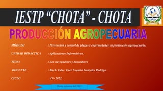 Chota, octubre del 2022
MÓDULO : Prevención y control de plagas y enfermedades en producción agropecuaria.
UNIDAD DIDÁCTICA : Aplicaciones Informáticas.
TEMA : Los navegadores y buscadores
DOCENTE : Bach. Educ. Ever Coquito Gonzales Rodrigo.
CICLO : IV- 2022.
 