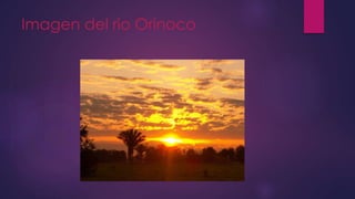 Imagen del rio Orinoco
 