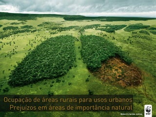 Ocupação de áreas rurais para usos urbanos
  Prejuízos em áreas de importância natural
 