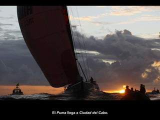 El  Puma  llega a  Ciudad del Cabo . 