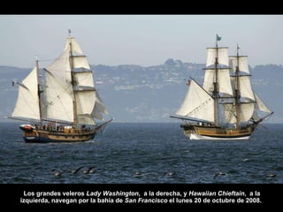 Los grandes veleros  Lady Washington ,  a la derecha, y  Hawaiian Chieftain ,  a la izquierda, navegan por la bahía de  San Francisco  el lunes 20 de octubre de 2008.   
