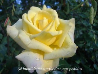 Sê humilde na confissão e nos pedidos
 