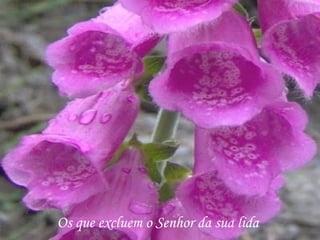 Os que excluem o Senhor da sua lida
 