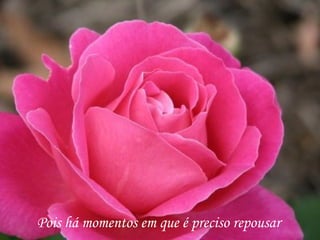 Pois há momentos em que é preciso repousar
 