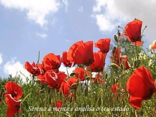 Serena a mente e analisa o teu estado
 