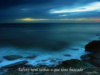 Talvez nem saibas o que tens buscado
 