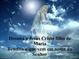 Hosana a Jesus Cristo filho de Maria Bendito o que vem em nome do Senhor 