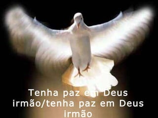 Tenha paz em Deus irmão/tenha paz em Deus irmão 