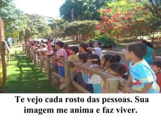 Te vejo cada rosto das pessoas. Sua imagem me anima e faz viver.     