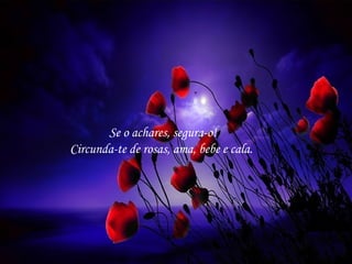 Se o achares, segura-o!
Circunda-te de rosas, ama, bebe e cala.

 