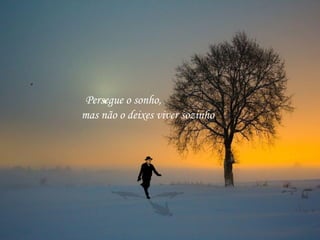 Persegue o sonho,
mas não o deixes viver sozinho.

 