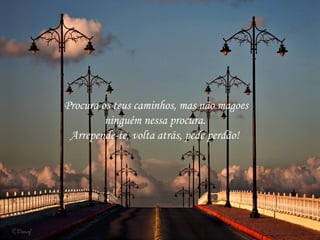 Procura os teus caminhos, mas não magoes
ninguém nessa procura.
Arrepende-te, volta atrás, pede perdão!
 