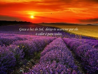 Goza a luz do Sol, deixa-te acariciar por ele.
o calor é para todos.
 