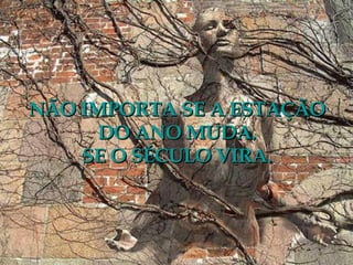 NÃO IMPORTA SE A ESTAÇÃO DO ANO MUDA. SE O SÉCULO VIRA. 