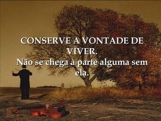 CONSERVE A VONTADE DE VIVER. Não se chega à parte alguma sem ela. 