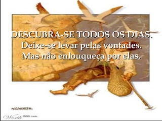 DESCUBRA-SE TODOS OS DIAS. Deixe-se levar pelas vontades. Mas não enlouqueça por elas. 