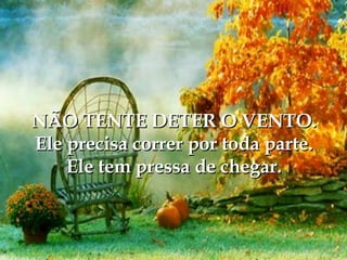 NÃO TENTE DETER O VENTO. Ele precisa correr por toda parte. Ele tem pressa de chegar. 