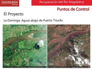 Recuperación del Rio Magdalena 
El Proyecto 
La Dominga, Aguas abajo de Puerto Triunfo 
1969 2014 
Puntos de Control 
 