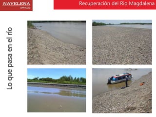 Recuperación del Rio Magdalena 
Lo que pasa en el río 
 