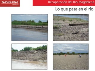 Recuperación del Rio Magdalena 
Lo que pasa en el río 
 