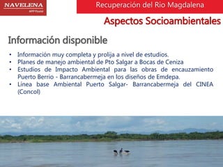 Recuperación del Rio Magdalena 
Aspectos Socioambientales 
Información disponible 
• Información muy completa y prolija a nivel de estudios. 
• Planes de manejo ambiental de Pto Salgar a Bocas de Ceniza 
• Estudios de Impacto Ambiental para las obras de encauzamiento 
Puerto Berrio - Barrancabermeja en los diseños de Emdepa. 
• Línea base Ambiental Puerto Salgar- Barrancabermeja del CINEA 
(Concol) 
 