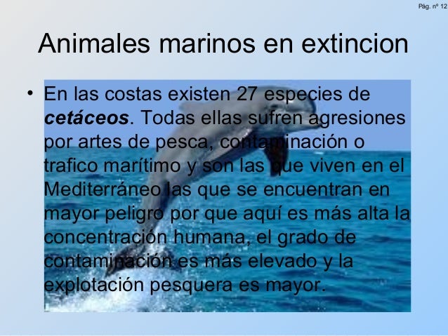 Animales en extinción