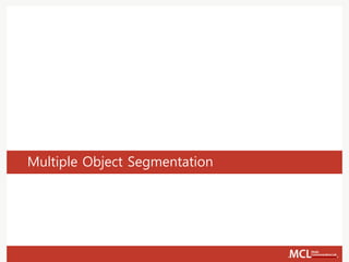 Multiple Object Segmentation
 