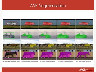ASE Segmentation
 