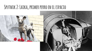 Sputnik2:Laika,primerperroenelespacio
 