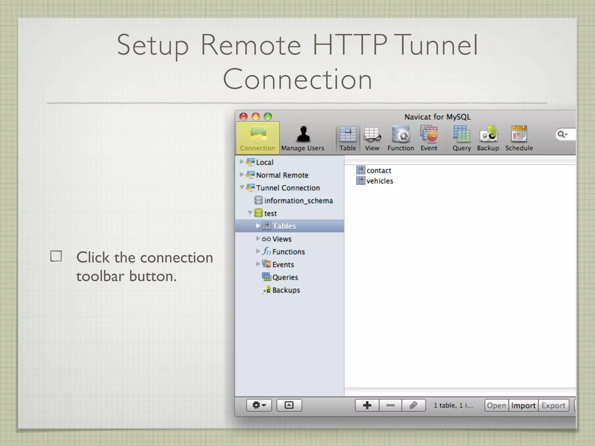 Setup Remote HTTP Tunnel
            Connection




Click the connection
toolbar button.
 